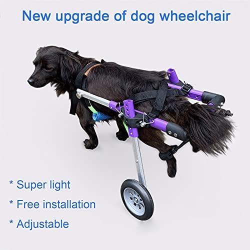 JKGHK Инвалидна количка за кучета, Регулируем Инвалидна количка за Кучета, Количка за домашни любимци за рехабилитация на Задните крака,